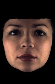 Create a 2D photo series automatically Create a 2D photo series automatically